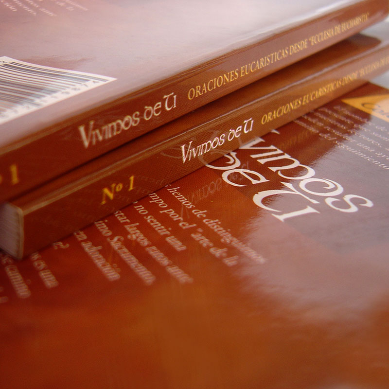 Tapas Libro Vivimos de tí.