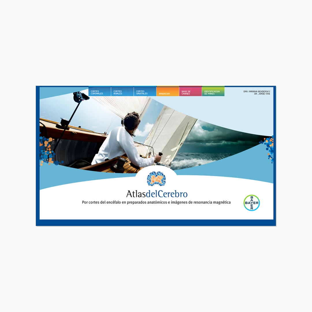 Atlas del Cerebro interactivo Bayer.